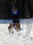 Sled dog races Jan 16 201022